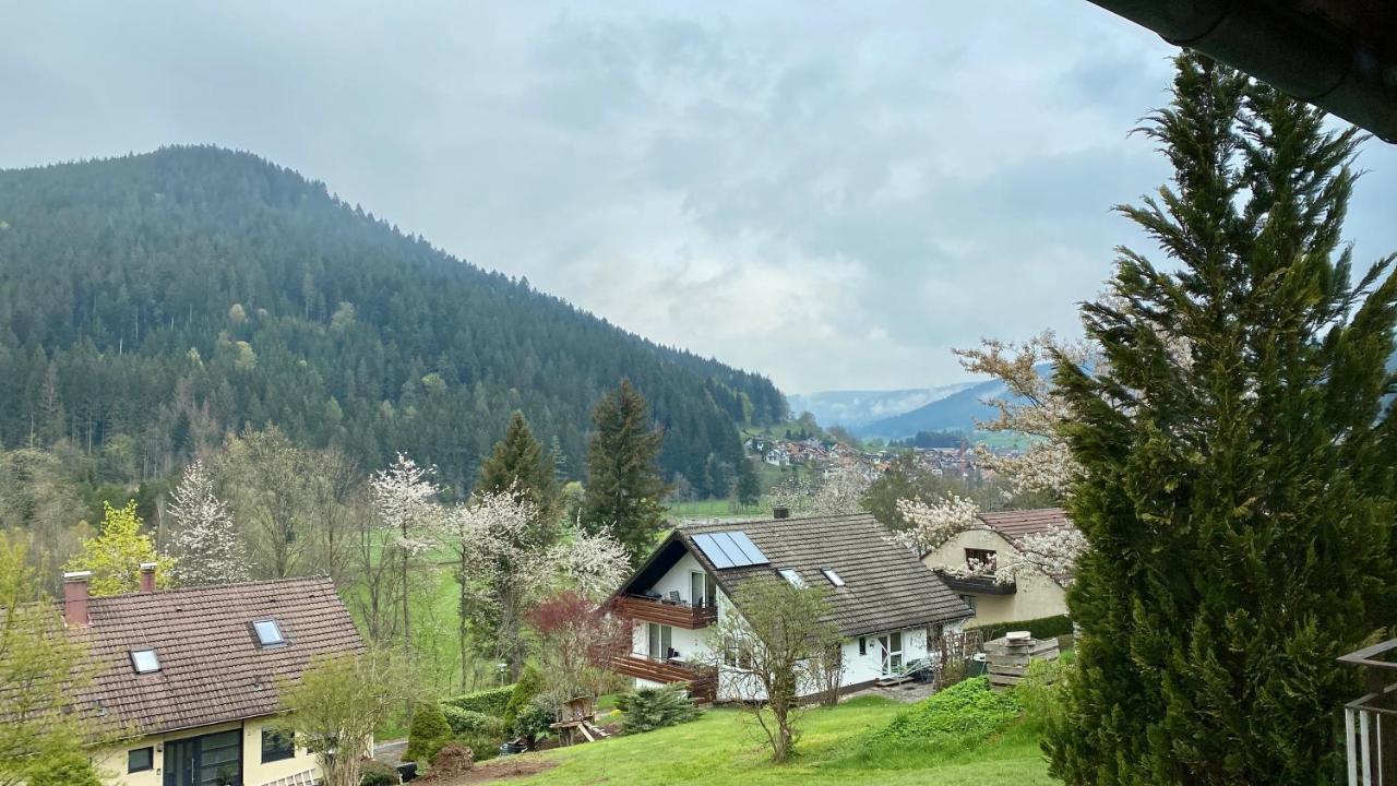 Black Forest Scenic Escape Baiersbronn Luaran gambar